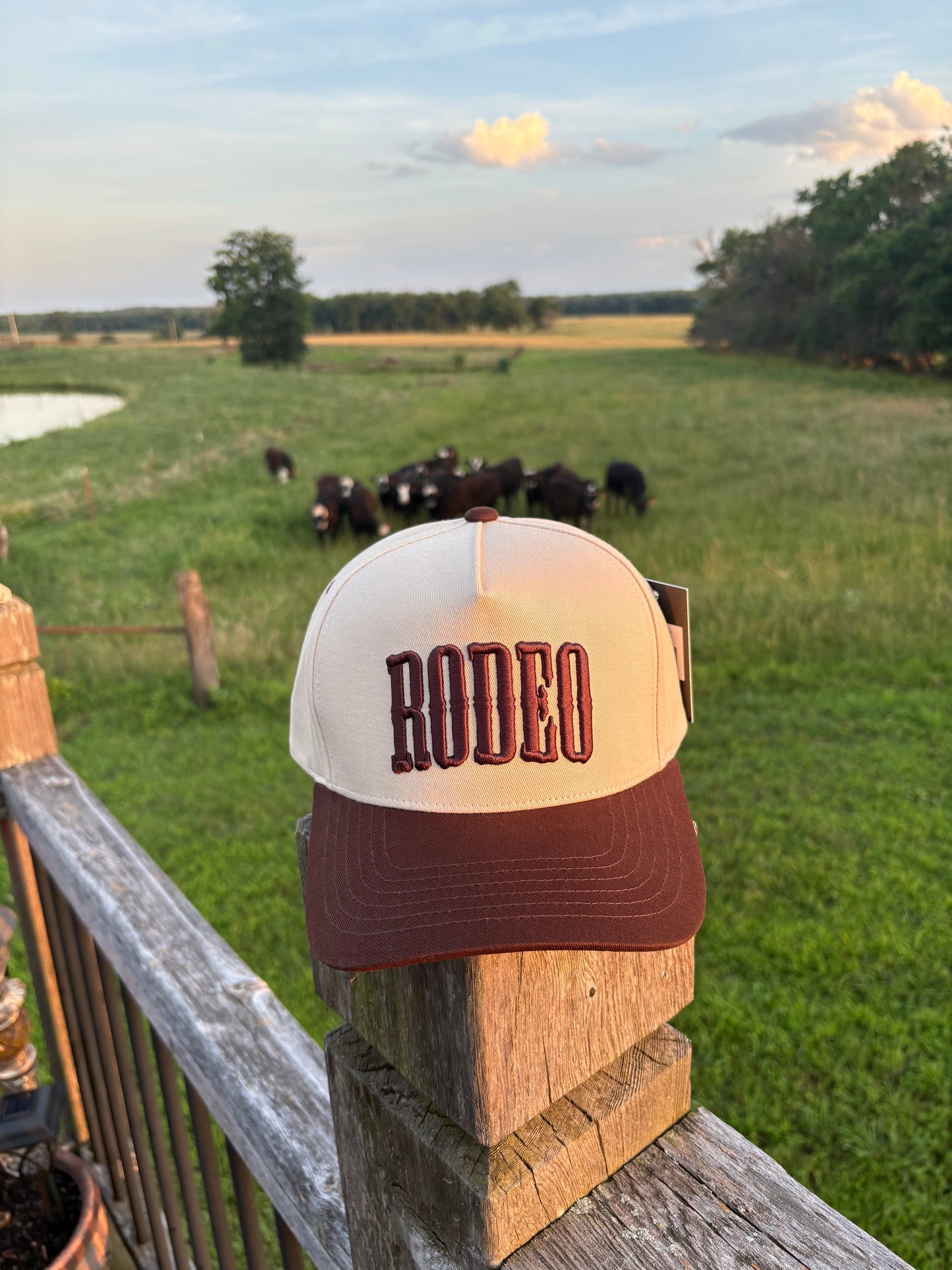 Rodeo Hat