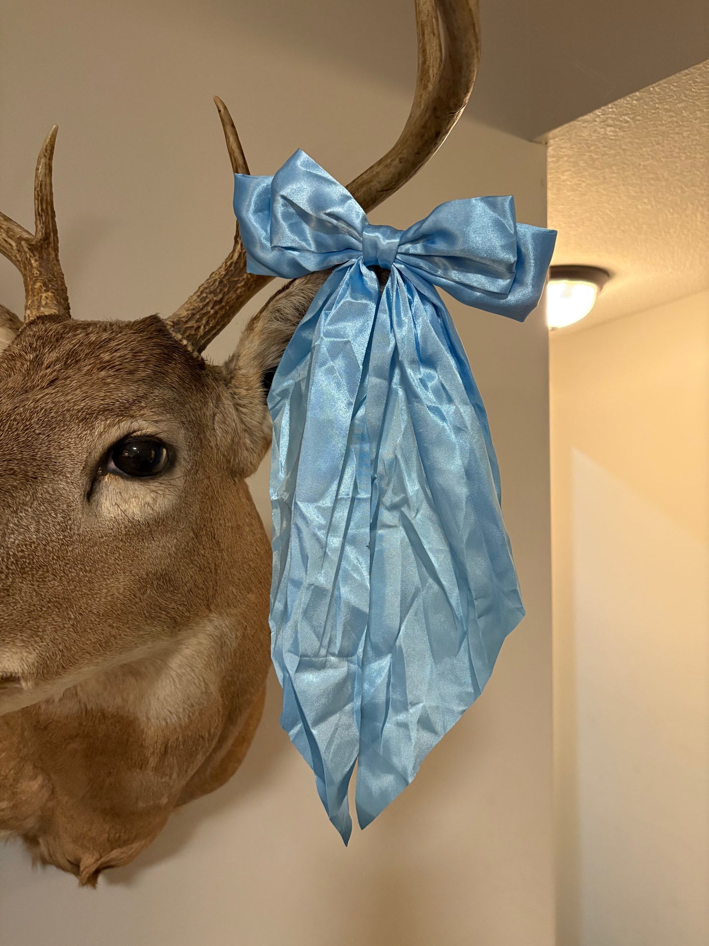 Baby Blue Bow