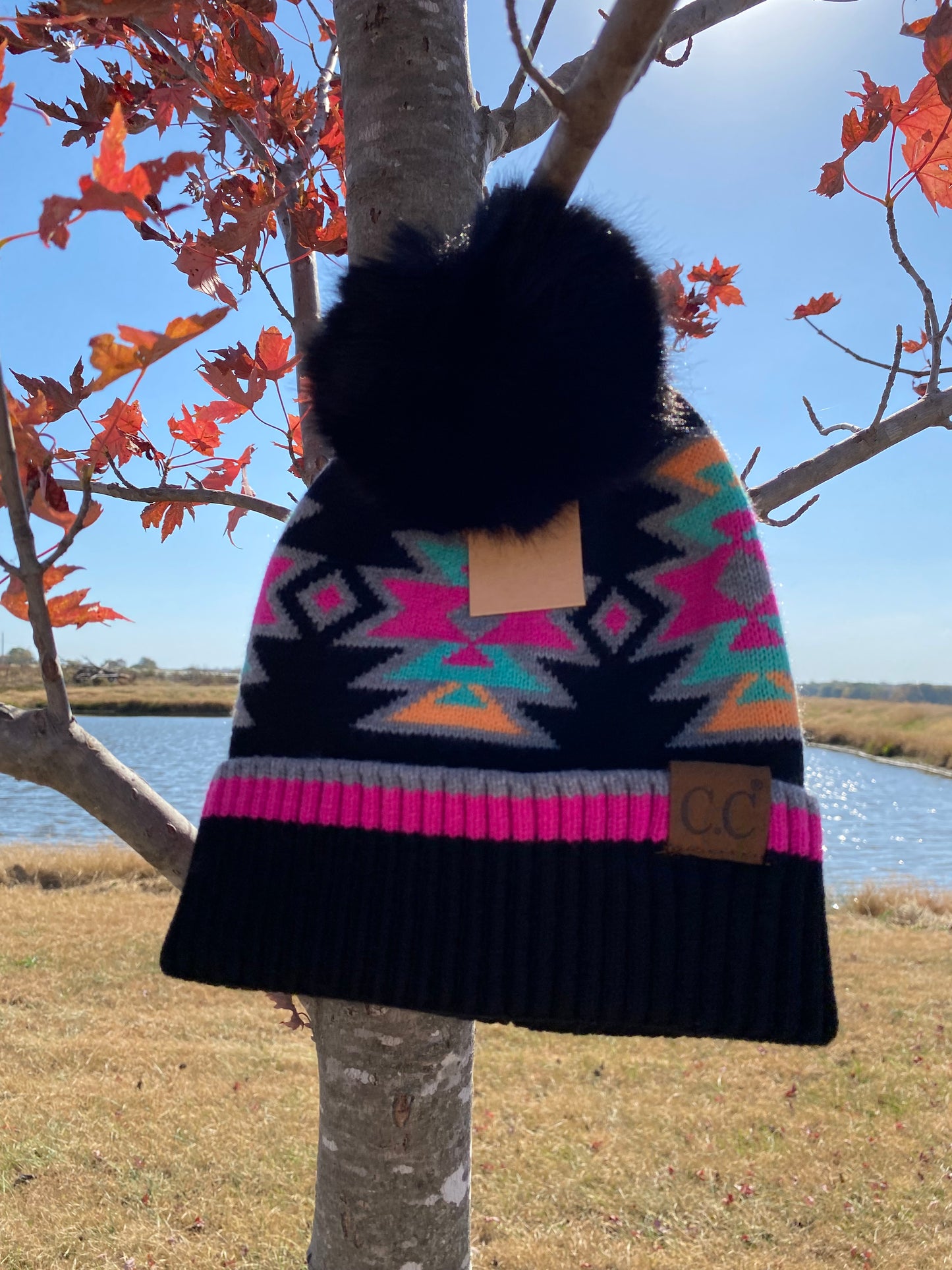 Black, Pink, & Turquoise Beanie