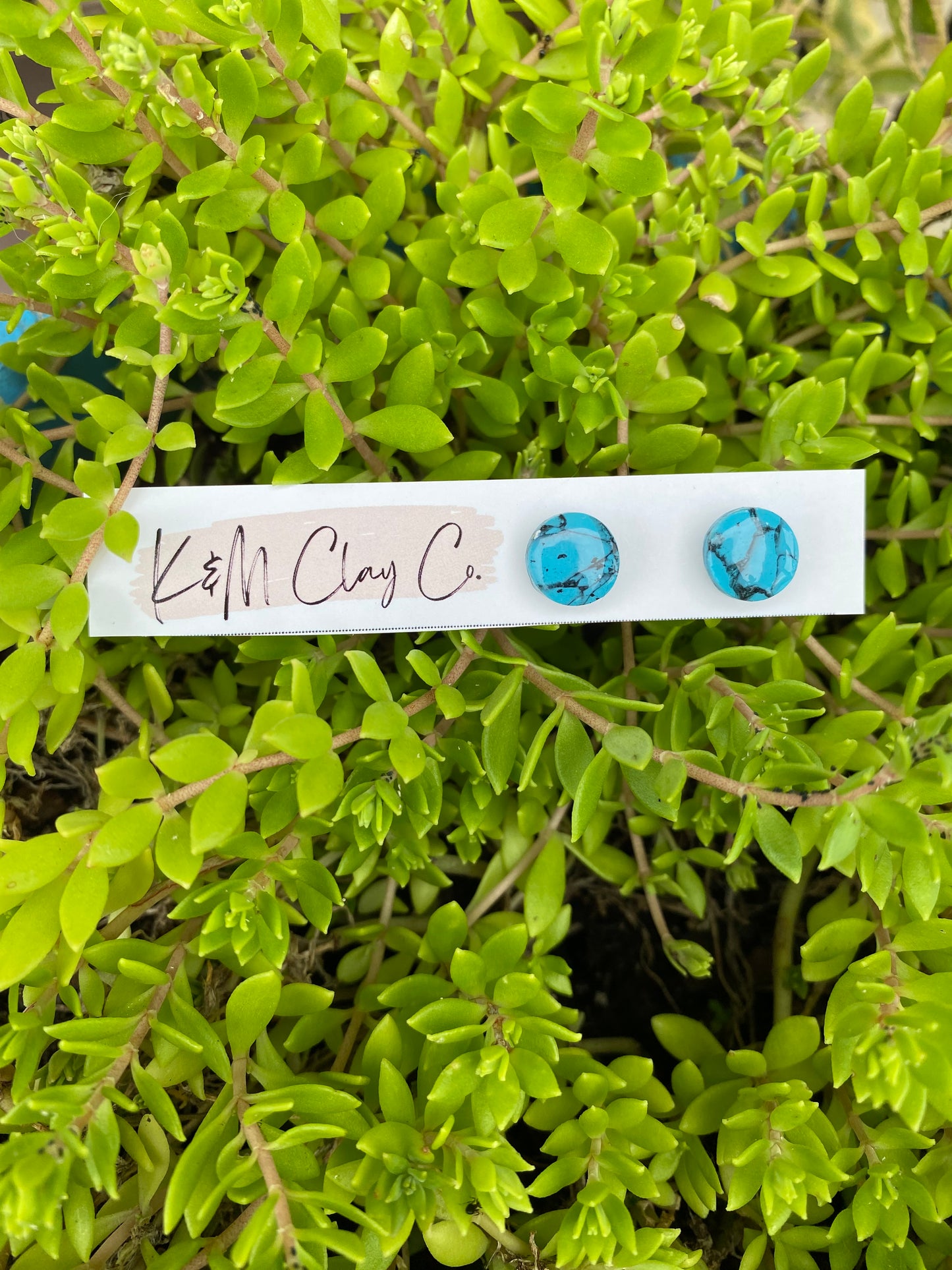 Turquoise Stud Earrings