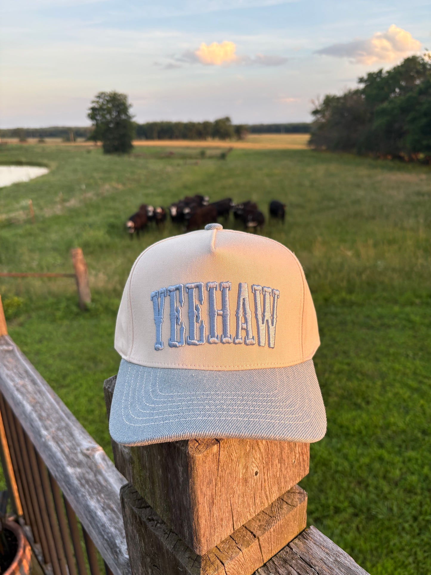 Yeehaw Hat