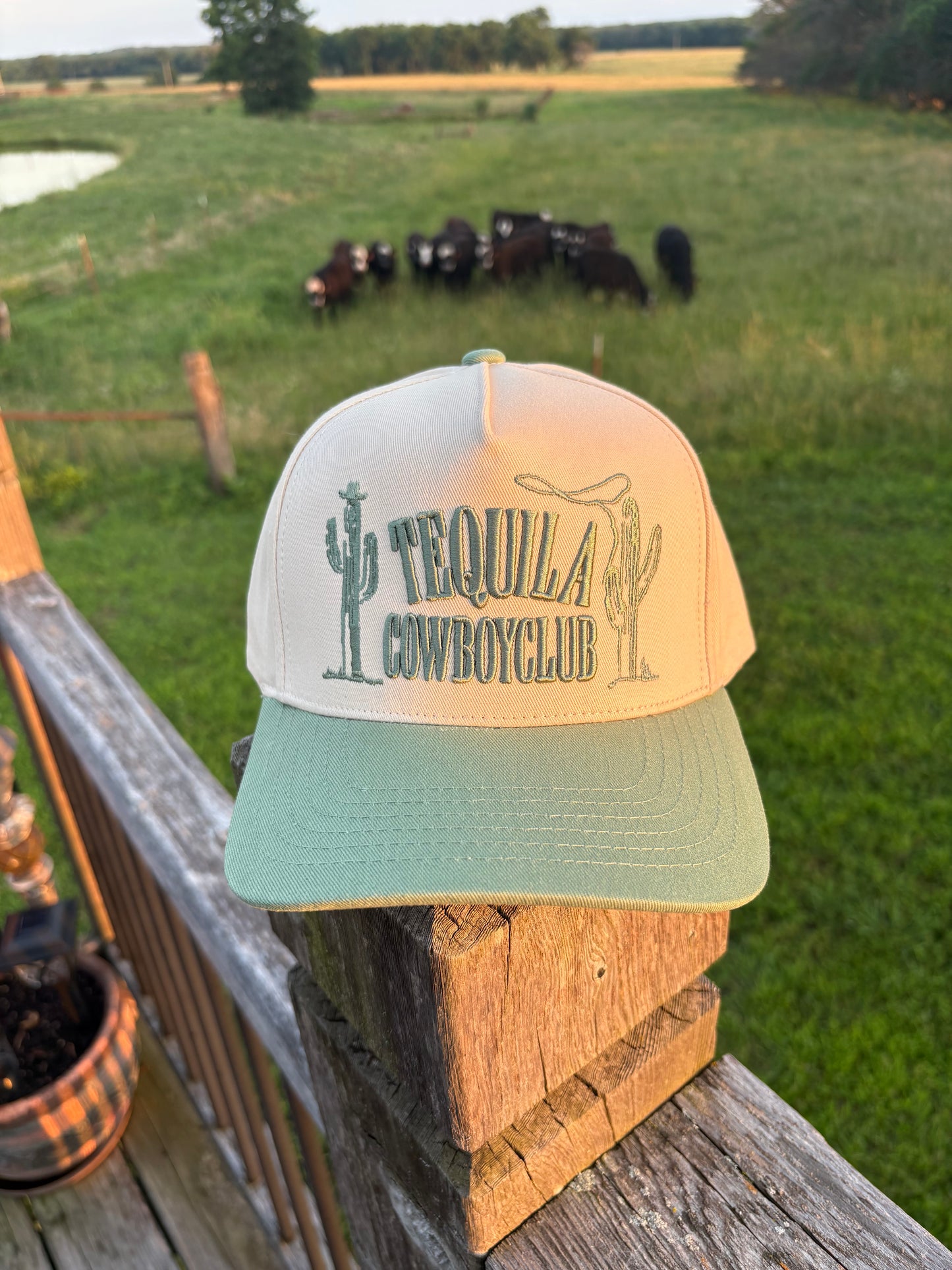 Tequila Hat
